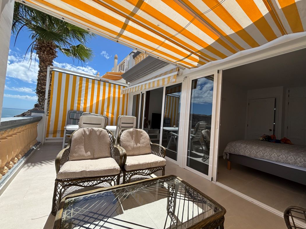 Shaded terrace seating beside the palm trees and the sea