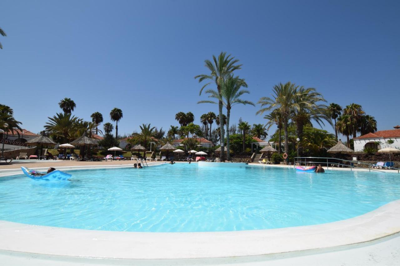 Large communal swimming pool surrounded by palm trees